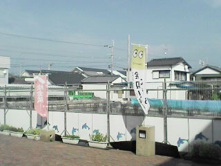 061015_1407`01.jpg
