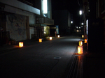 P1010859-2.jpg